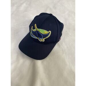 Tampa Bay Rays Devil Rays MLB Baseball Hat Cap Adjusted Signed Dow D